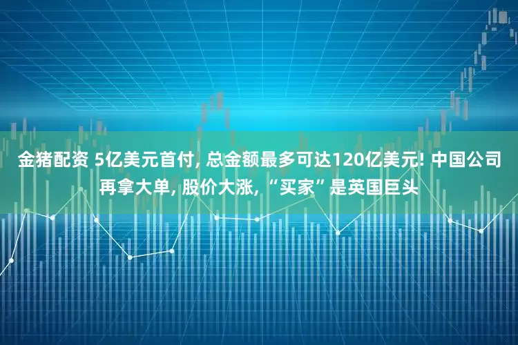 金猪配资 5亿美元首付, 总金额最多可达120亿美元! 中国公司再拿大单, 股价大涨, “买家”是英国巨头