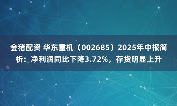 金猪配资 华东重机（002685）2025年中报简析：净利润同比下降3.72%，存货明显上升